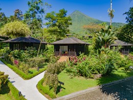 Des bungalows nichés dans une nature luxuriante