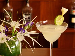 Dégustez des cocktails délicieux