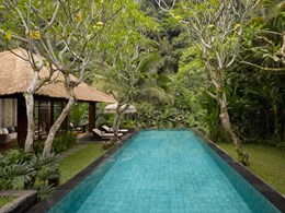 One Bedroom Ubud View Pool Villa