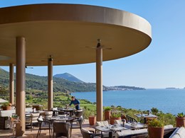 Délicieuse cuisine grecque au restaurant Oliviera