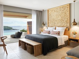 Deluxe Double Room Private Pool