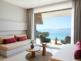 One Bedroom Suite Private Pool