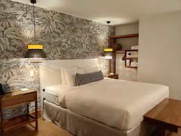 Cotinga Room