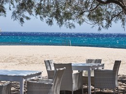 Déjeuner ombragé les pieds dans le sable