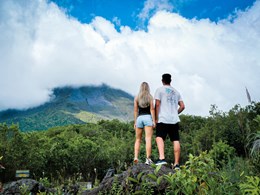 Partez à la rencontre de la faune tropicale