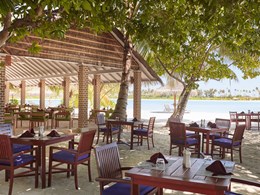 Pizzas gourmandes au restaurant Island Pizza