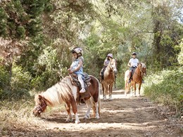 Balade à dos de cheval au Grecotel Olympia Oasis
