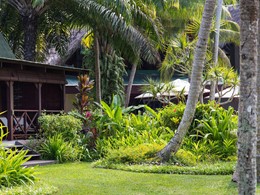 Le jardin luxuriant