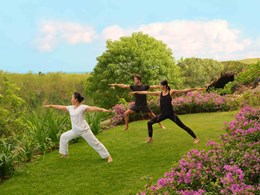 Séance de yoga en plein-air