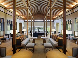 L’art du thé, en toute sérénité