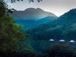 Un luxueux hôtel enfoui dans la jungle