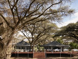 Le lounge et le restaurant nichés sous les acacias