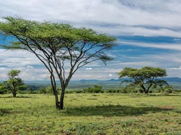 Ngorongoro Crater Camp, an A&K Sanctuary