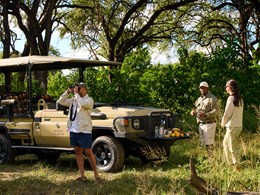 Partez pour des safaris exlusifs