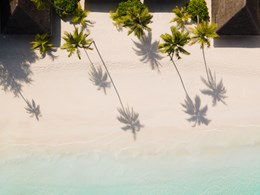 Une plage immaculée