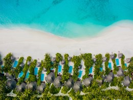 Entre lagon turquoise et jardins tropicaux