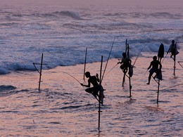 Pêche sur échasse au Sri Lanka