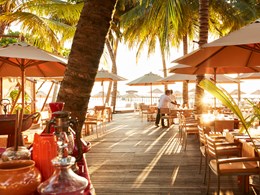Un voyage culinaire au restaurant Taste of Asia