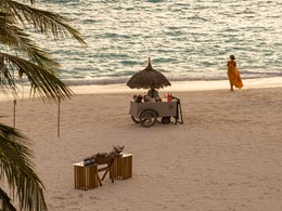 Ambiance chic et tropicale au Beach Club