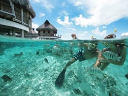 Snorkeling à l'hôtel Le Tikehau by Pearl Resorts en Polynésie