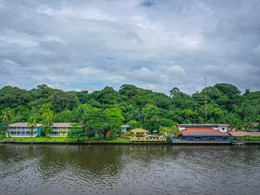 Escapade unique au coeur de Tortuguero