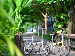 Partez à la découverte de l'île à vélo