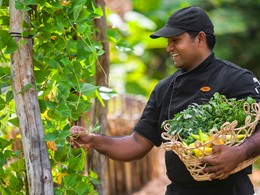 Jardin organique de l'hôtel Ulagalla Resort au Sri Lanka
