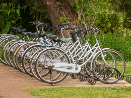 Balade à vélo à l'Ulagalla Resort situé au Sri Lanka