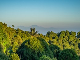 La vue sur les montagnes verdoyantes