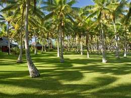 Jardin de l'hôtel Vahine Island à Tahaa