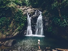 4x4 Forêt tropicale et cascade