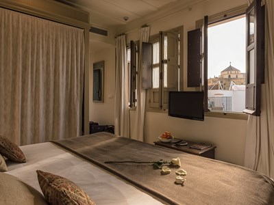 Junior Suite with Terrace