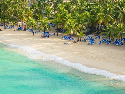 Débardeur Bayahibe République Dominicaine – Imprimé Palmier Souvenir De Vacances – Coupe Classique Légère – Pour Homme Et Femme