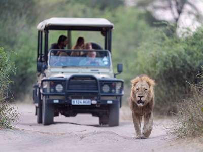 Notre sélection de circuits et safaris au Botswana