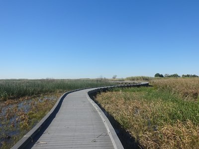 Creole Nature Trail