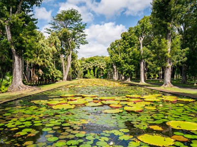 Découvrir Pamplemousses en electrobike