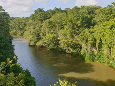 Immersion en terres dominicaines