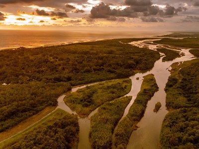 Isla Damas, au coeur de la mangrove