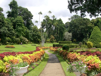 Jardin Peradeniya