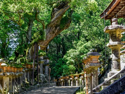 Kasuga-taisha