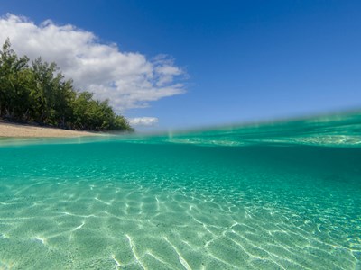 Kayak transparent, à la découverte du lagon