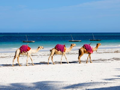 Diani Beach: sable blanc et eaux turquoise