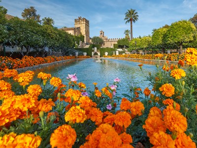 Le jardin fleuri de l'Alcazar à Cordoba ne laisse personne indifférent