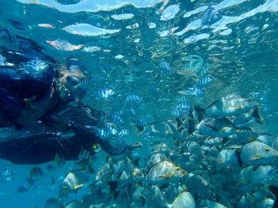 Exploration de la passe de Tiputa en plongée libre