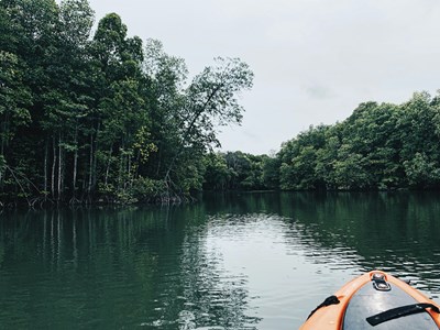 La réserve naturelle de Ao Thane Lane en kayak