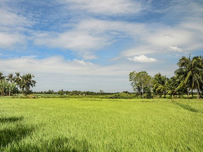 Ben Tre, dans le Delta du Mékong