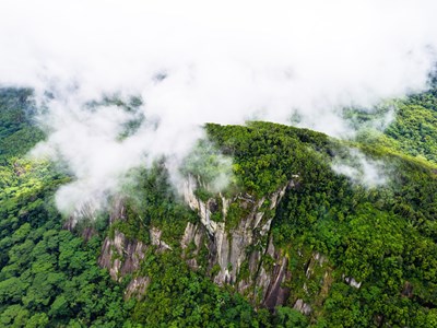 Le Sentier Nature du Morne Blanc