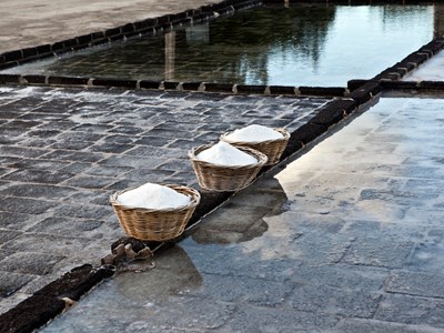 Les salines de Tamarin