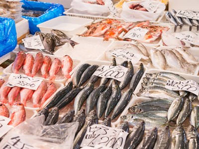 Marché aux poissons d'Adachi avec un ancien grossiste