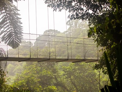 Mistico Arenal Hanging Bridges Park